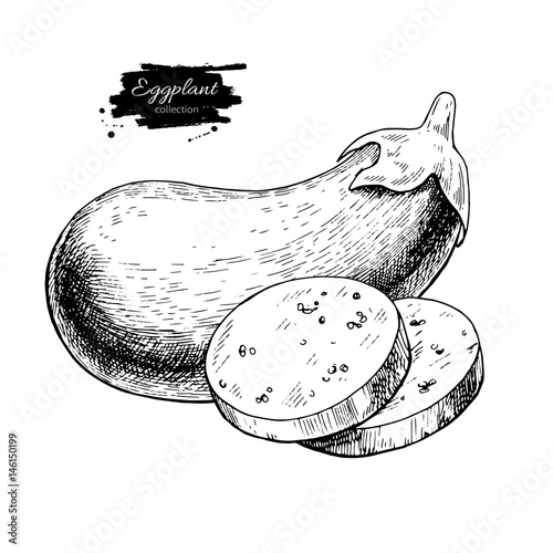 Eggplant hand drawn vector illustration. Isolated Vegetable engraved style object with sliced pieces