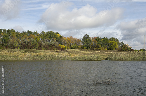 cloud, forest, lake