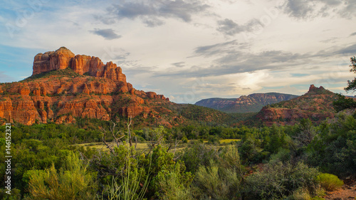 Green vegetation and trees at the red rocks of Sedona