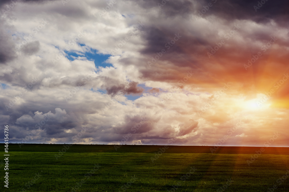 Obraz premium young green fields, dark Moody sky.
