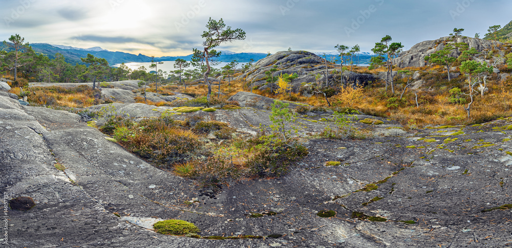 Panoramic view of norwegian rocks and distant fjord