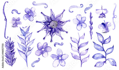 Watercolor hand drawn with brush and blue ink set with different malaysian plants and flowers, isolated on white background. Large raster illustration with branches and buds. Floral collection