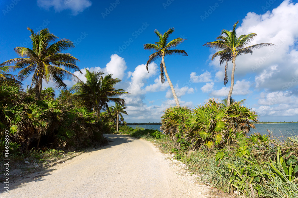 Tropical Dirt Road in Mexico