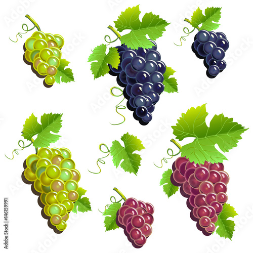 Bunches of grapes set