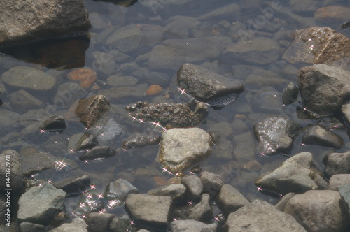 rocky shore
