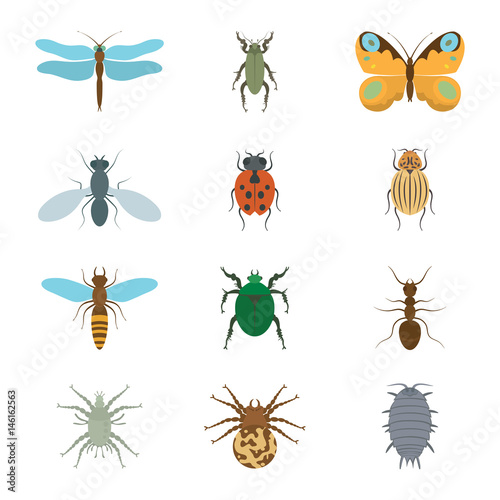 Icons set insects flat - dragonfly, beetle, butterfly, fly, ladybug, koroladsky beetle, wasp, bronzovik ant, tick, a spider, wood louse, vector