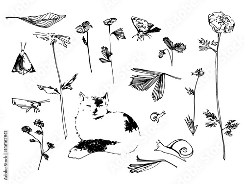 Garden set. Flower, butterfly and snail sketch illustration. Hand drawn vector image.
