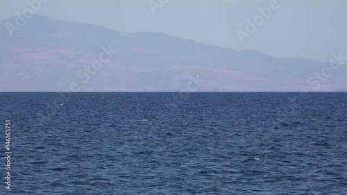 Turkey coast from Lesbos with bird