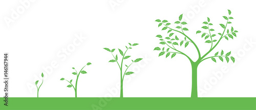 Obraz na plátne Vector illustration of a set of green icons - plant or tree growth phase, isolat