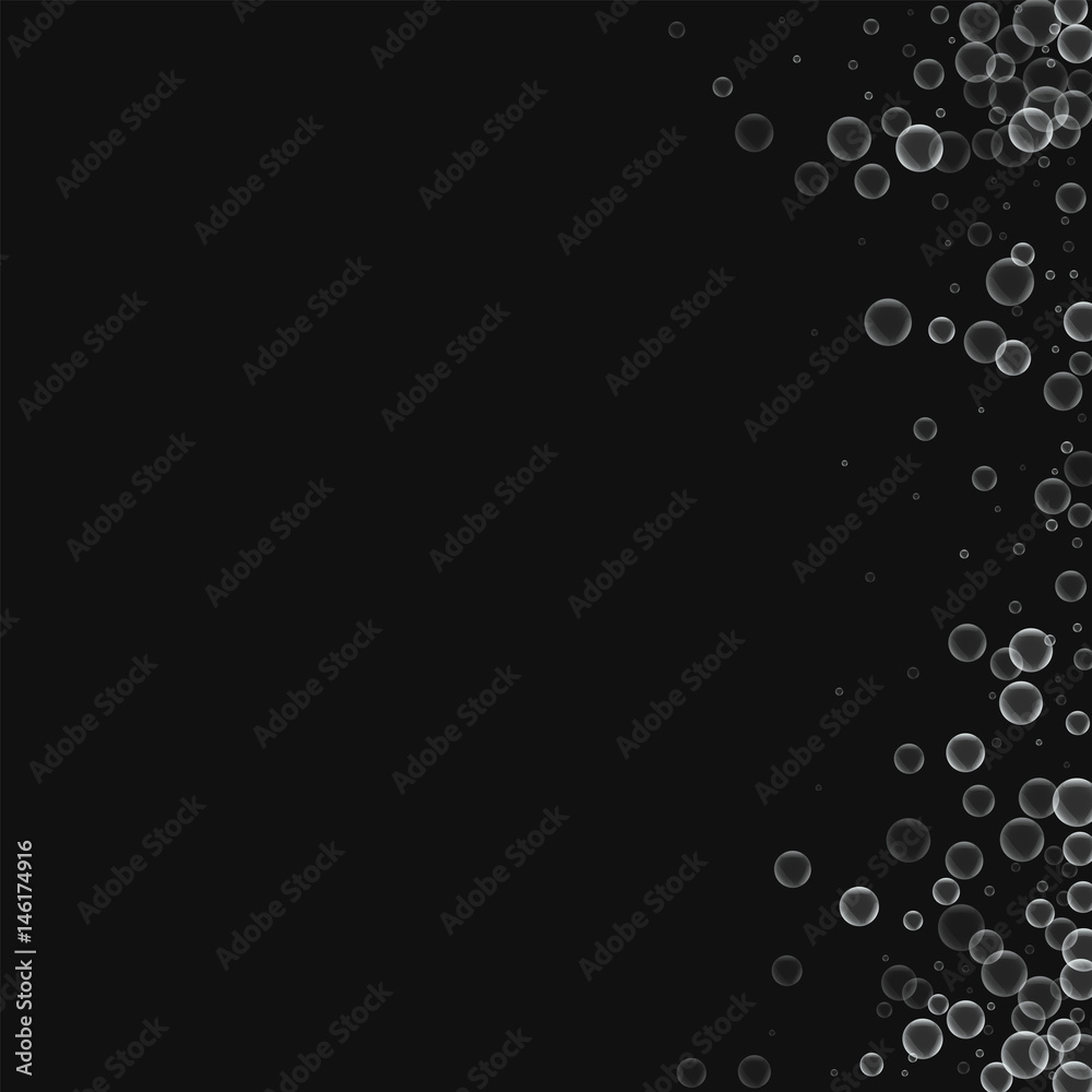 Soap bubbles. Abstract right border with soap bubbles on black background. Vector illustration.