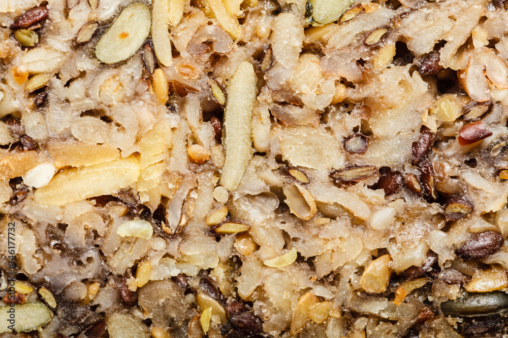 Detailed closeup whole grain bread with many grains Detailed closeup whole grain bread with many grains