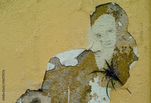 Photos Face on the wall