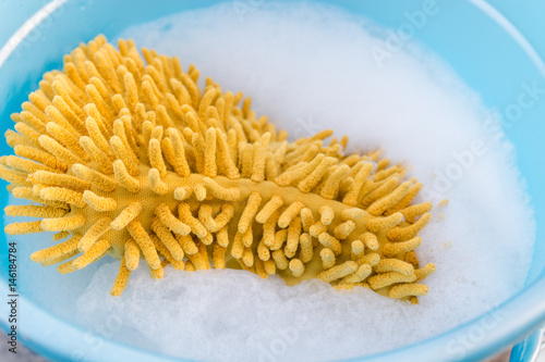 sponge in with foam in a bucket