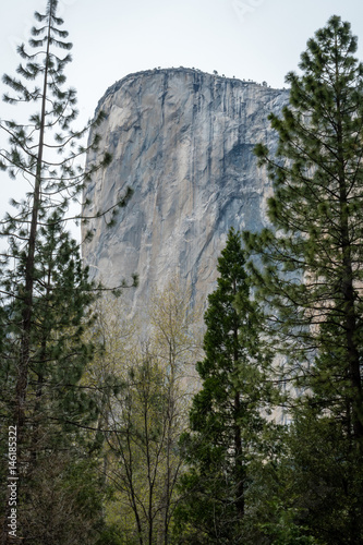 Face of the cliff behind the trees