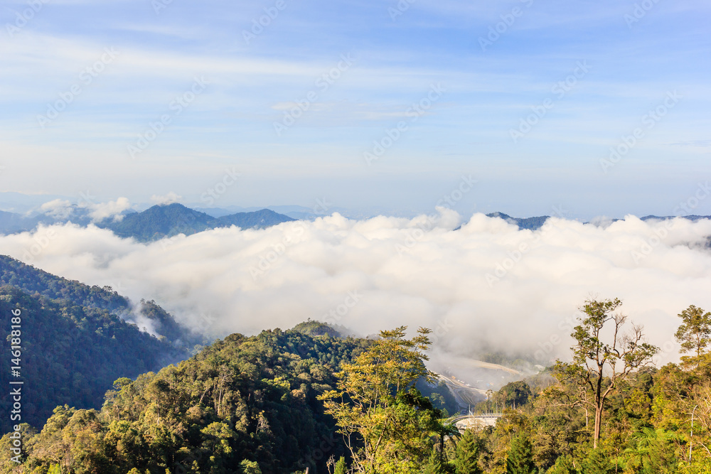 Obraz premium Morning fog in the mountains early in blue sky, mountains and forest. Landscape of chin swee cave temple, Ipoh, Malaysia.