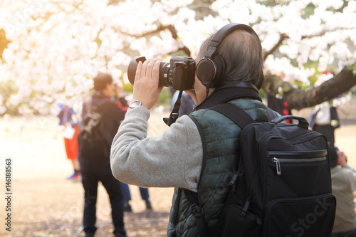Senior professional photographer he is travel taking a photo amidst the beautiful scenery of sakura tree in Japan. Travel and natural Concept