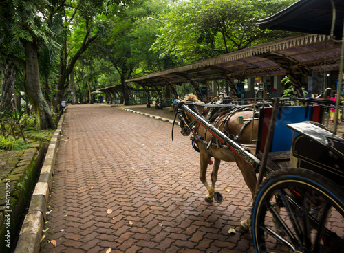 Dokar or horse-drawn carriage on pavement photo taken in Jakarta Indonesia photo