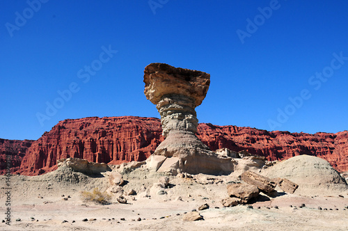 Formación El Hongo en el Parque provincial de Ischigualasto o Valle de la Luna, San Juan, Argentina photo