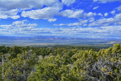 Kaibab National Forest View photo