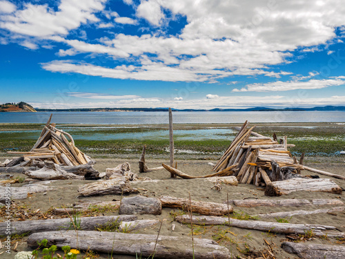 Driftwood on the sandy ocean beach. Island View beach, Vancouver Island, BC