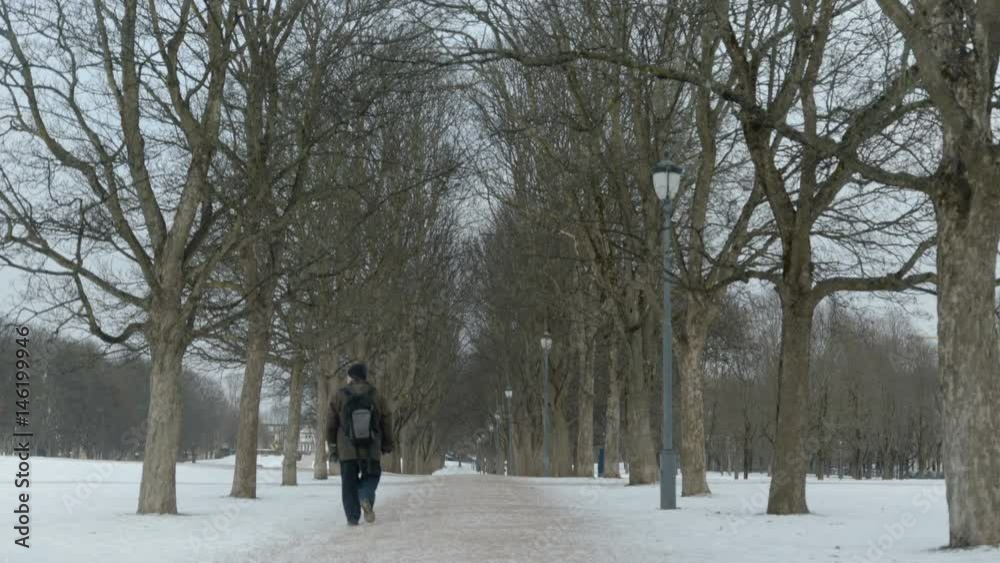 Shot of a man walking down Frogneparken in Oslo in the winter, Norway Shot of a man walking down Frogneparken in Oslo in the winter, Norway