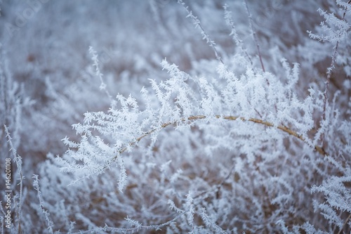 Winter abstract macro of rime on plants © milosz_g