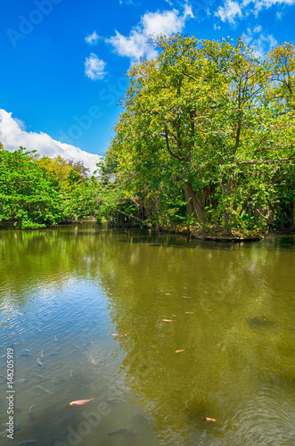 Pamplemousses botanical garden  Mauritius