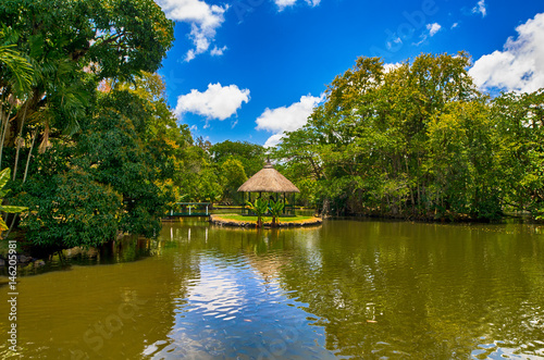 Pamplemousses botanical garden, Mauritius