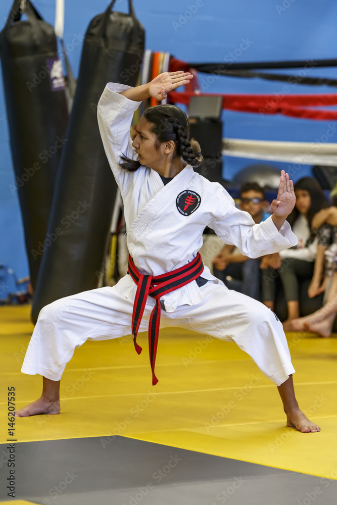 Girl doing Karate Girl doing Karate