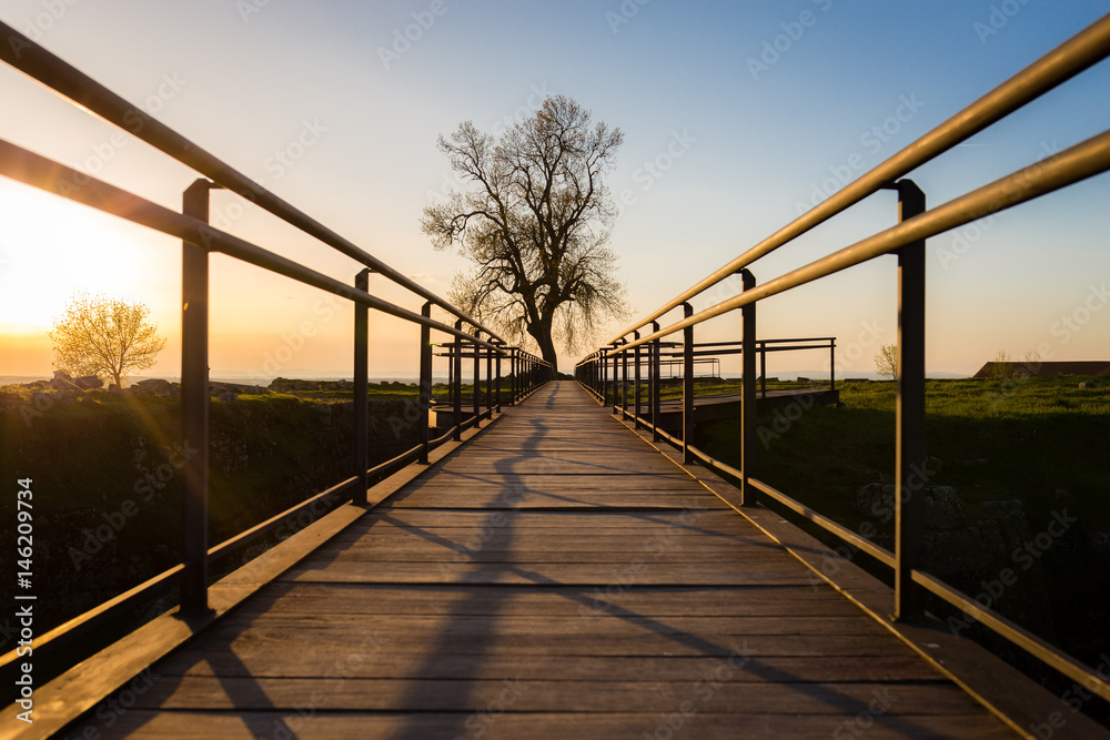 Fototapeta premium Wooden Walkway leading to a single tree at sunset against blue sky in Almeida, Portugal