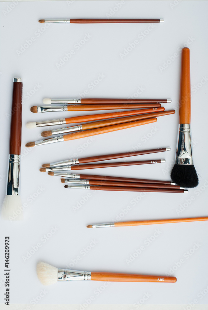 Various makeup brushes isolated
