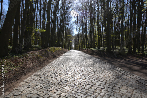 Kopfsteinpflaster Straße auf Rügen durch den Wald © textag
