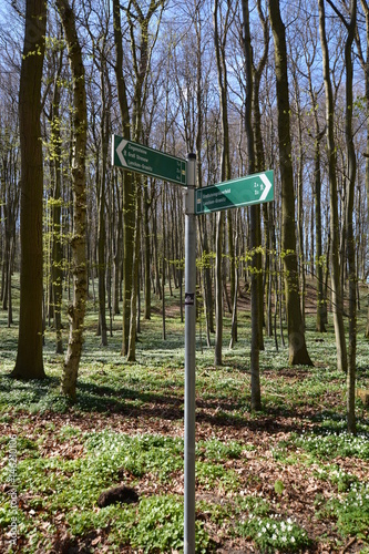 Wanderwegweiser Schild, Groß Stresow, Lancken-Granitz, Großsteingräberfeld, Ziegensteine photo