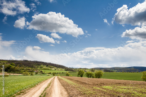 Spring countryside with dirt road through green fields