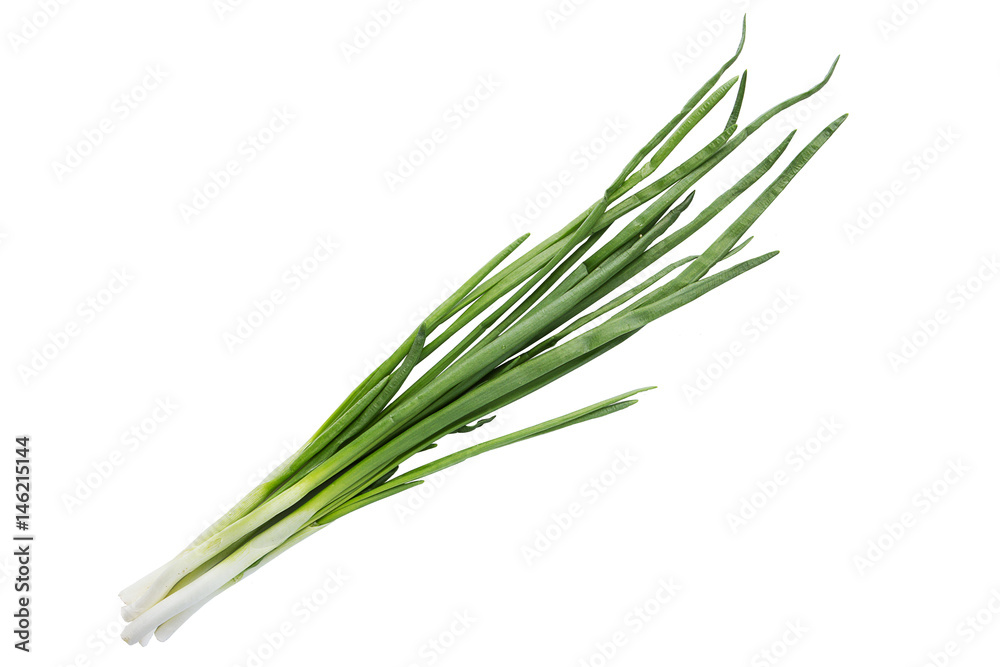 Small bundle of washed fresh green onions with long stems and tiny roots over isolated background Small bundle of washed fresh green onions with long stems and tiny roots over isolated background