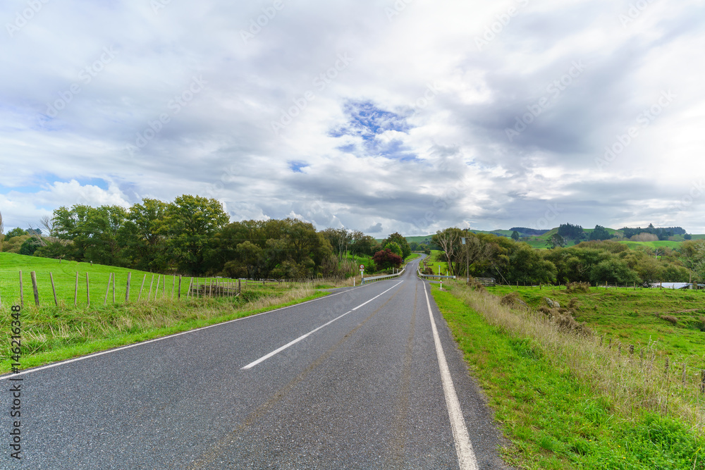Asphalt road in countryside , North Island of New Zealand