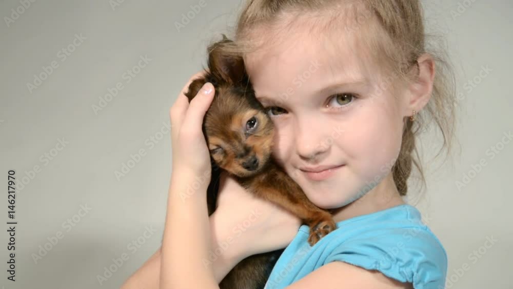Puppy toy terrier and child on a white background. Puppy toy terrier and child on a white background.
