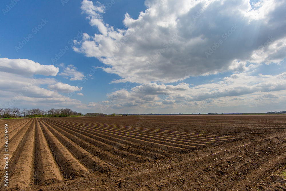 symmetrically furrowed farmland with blue sky and clouds