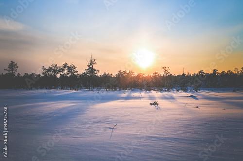 Siberian winter landscape with taiga