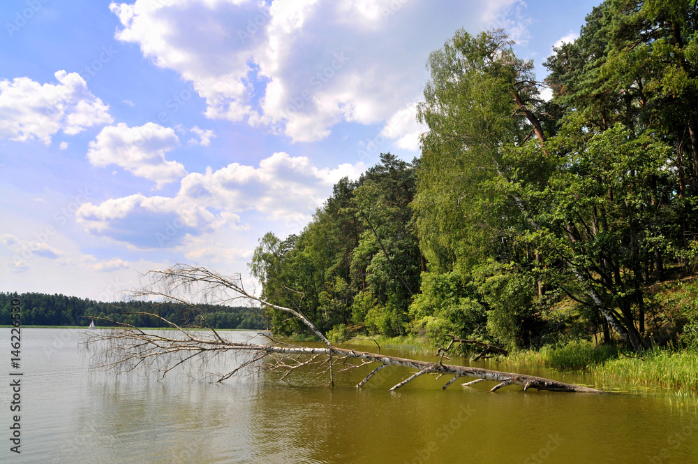 Fototapeta premium Mazury