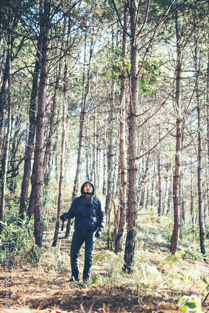  Men travel in pine forest.