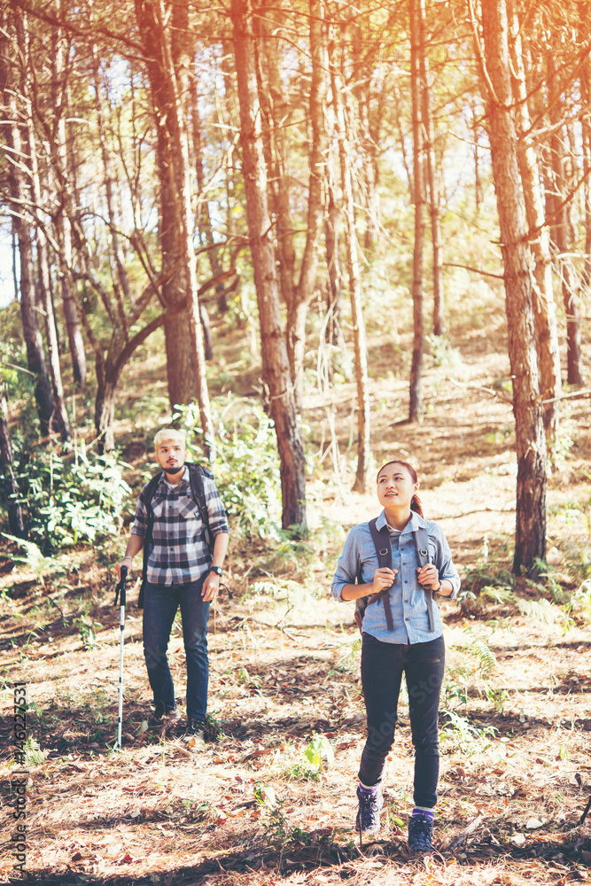 Fototapeta premium Young couple hiking at the pine forest.