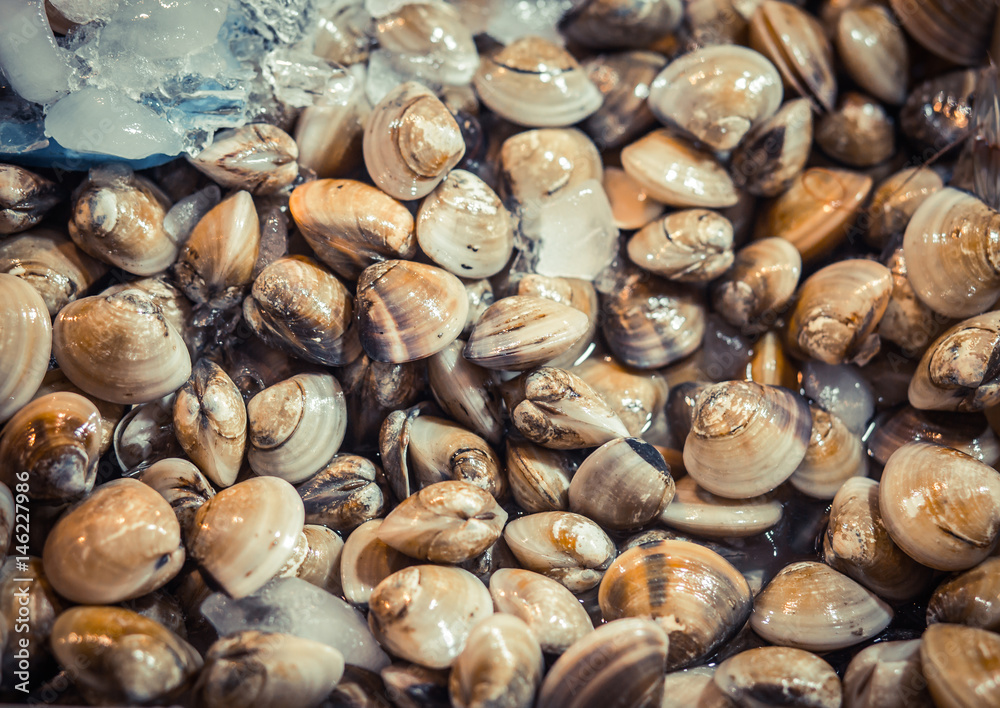 Fresh clams for sale at a market. Seafood background. Top view. Fresh clams for sale at a market. Seafood background. Top view.