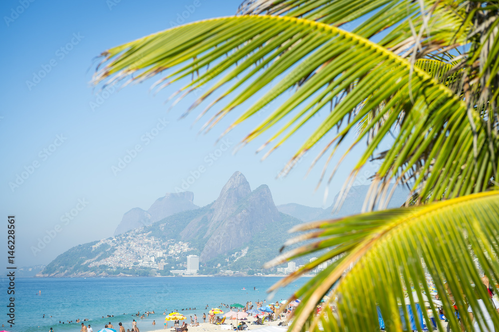 Scenic view of the Rio de Janeiro skyline at Ipanema Beach through palm fronds