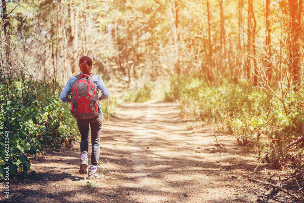 Fototapeta premium Młoda dziewczyna spaceru w sosnowym forset, aby przejść do celu
