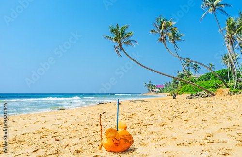 The coconut mice on the sand photo