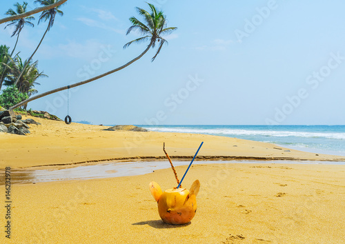 The view with coconut photo