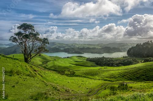 Northland landscape, New Zealand photo