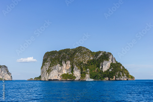 Sea and mountain with vegetation