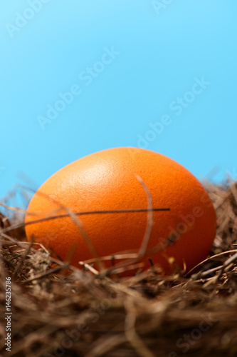 bird nest with traditional painted orange egg, easter holiday © be free